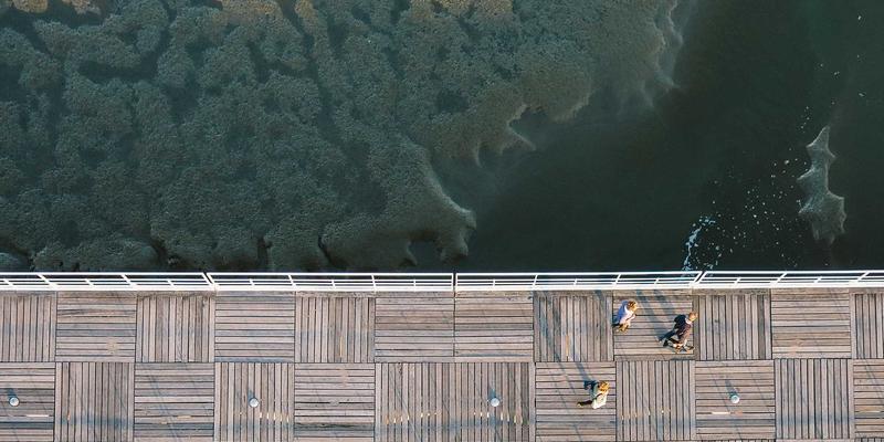 北京国际学校择校指南：深度解析课程体系、学费与升学路径