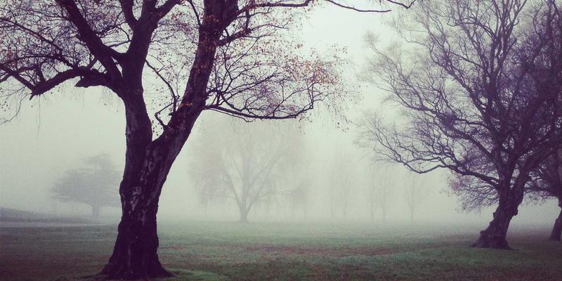 北京在地美食寻味之旅：探访胡同里的老字号与隐藏菜单