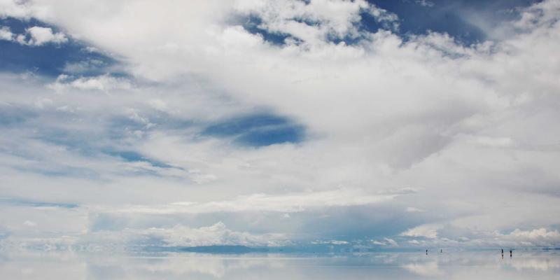 北京宠物友好生活指南：带毛孩子探索允许狗狗的公园、餐厅与租房全攻略