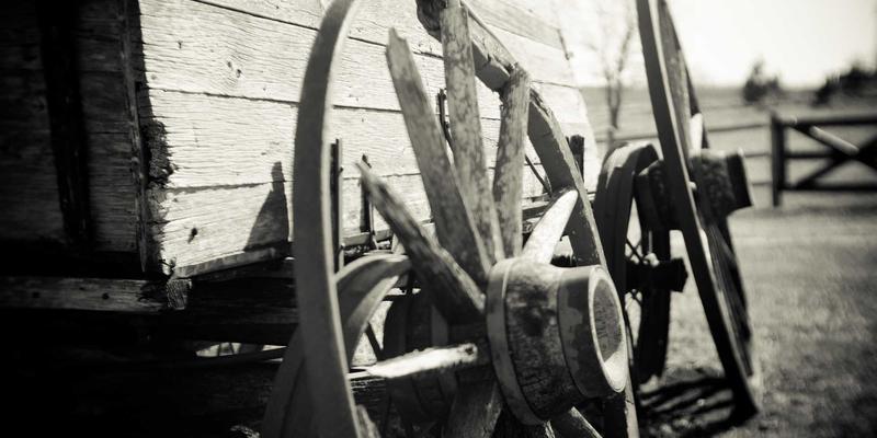 北京家庭园艺指南：阳台与露台种菜养花的本地化实践