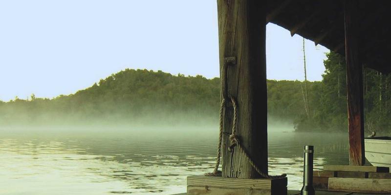 北京指南：探访焕新社区菜市场，解锁本地特色食材采购秘籍