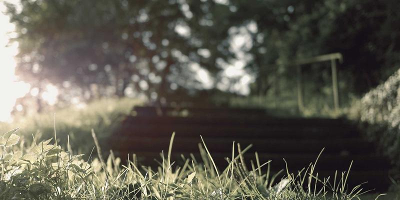 北京生活35：一座古都的现代生存指南与文化解码