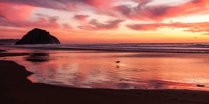 北京生活80：从胡同烟火到数字脉搏的融合指南