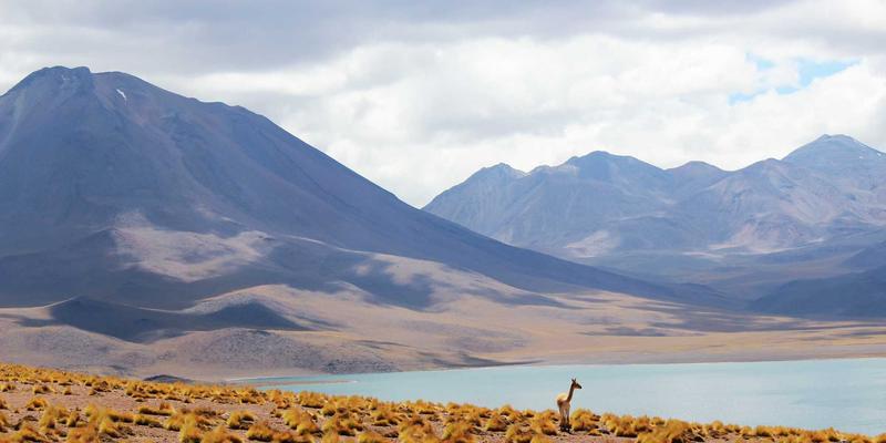 北京生活全攻略:从地道美食到实用资讯的完整指南