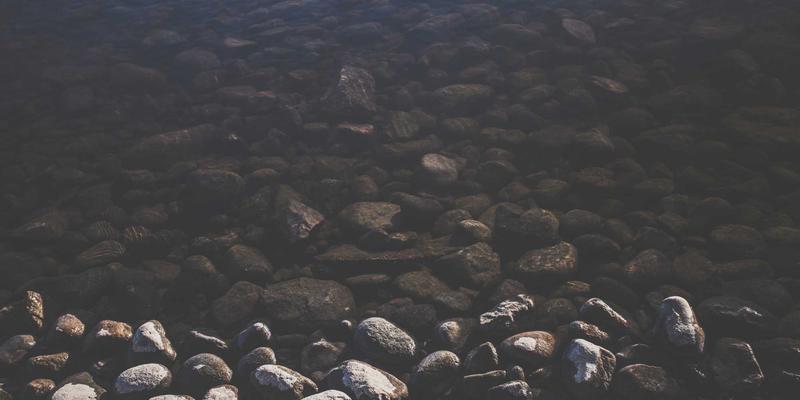 北京生活十二时辰：在交通脉搏中读懂这座城的呼吸